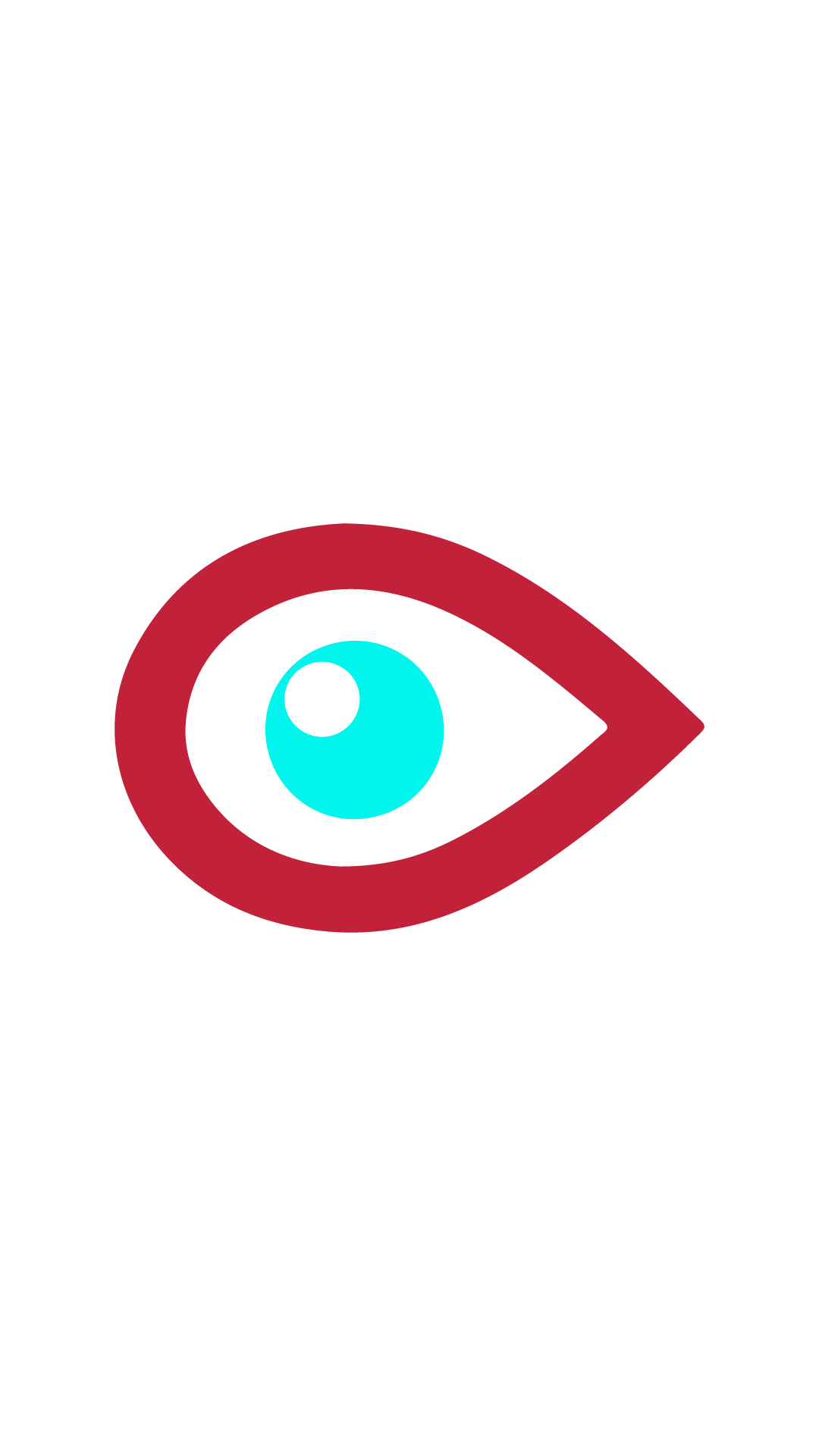 BiVisuaL